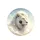Majestic White Lion Golden Mane Sky - Wildlife Lover Home Decor Gift Spare Tire Cover - 4