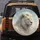 Majestic White Lion Golden Mane Sky - Wildlife Lover Home Decor Gift Spare Tire Cover - 5
