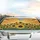 Lush Sunflowers Setting Sun Golden Beams Sunset Sky - Nature Lover Home Decor Gift Car Sunshade - 5