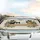 Curious Cats Floral Leaves Wooden Plank - Rustic Home Decor Gift for Cat Lover Car Sunshade - 5