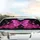 Fuchsia Butterfly Peony Floral Pink Butterflies Swirls Black - Nature Lover Gift Car Sunshade - 5