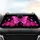 Fuchsia Butterfly Peony Floral Pink Butterflies Swirls Black - Nature Lover Gift Car Sunshade - 4