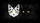 Black White Cat Faces Amber Eyes Charcoal Gold Swirl - Home Decor Gift for Cat Lover Car Sunshade - 7