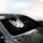 Black White Cat Faces Amber Eyes Charcoal Gold Swirl - Home Decor Gift for Cat Lover Car Sunshade - 6