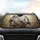 Majestic White Lion Ivory Mane Blue Floral Enchanted Garden - Wildlife Lover Gift Car Sunshade - 4