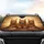 Realistic Orange Tabby Cats Aviator Sunglasses - Cat Lover Car Decor Gift Car Sunshade - 4
