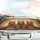 Realistic Orange Tabby Cats Aviator Sunglasses - Cat Lover Car Decor Gift Car Sunshade - 5