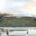 Arts and Crafts Floral Roses Bellflowers Berries - Everyday Lifestyle Gift Car Sunshade - 5