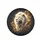 Majestic White Lion Golden Baroque Fantasy - Wildlife Lover Gift Spare Tire Cover - 4