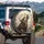 Majestic Brown Cream Gold Relief Sculpted Howling Wolf Moon - Outdoor Adventure Nature Lover Gift Spare Tire Cover - 3