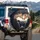 Two Giraffes Peering Car Cabin - Wildlife Auto Decor Gift for Animal Lover Spare Tire Cover - 3