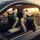 Three Black Cats Driving Car - Road Trip Adventure Cat Lover Gift Spare Tire Cover - 6