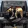 Three Black Cats Driving Car - Road Trip Adventure Cat Lover Gift Spare Tire Cover - 1