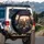 Tabby Ginger Cats Sunglasses Sunset Road - Cat Lover Travel Essentials Spare Tire Cover - 3