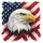 Bald Eagle American Flag Patriotic Independence Day Gift for Veterans Spare Tire Cover - 6
