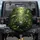 Green Tree Frogs Amber Eyes Mossy Rock Lush Foliage Tropical Jungle - Wildlife Lover Gift Spare Tire Cover - 1