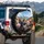 Sphynx Cats Road Trip Mountain Landscape - Adventure Traveler Gift for Cat Lover Spare Tire Cover - 3