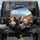 Sphynx Cats Road Trip Mountain Landscape - Adventure Traveler Gift for Cat Lover Spare Tire Cover - 1