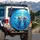 Playful Dolphins Blue Ocean Water - Wildlife Lover Coastal Home Decor Gift for Ocean Fan Spare Tire Cover - 3
