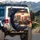 Ginger Tabby Cats Driving Car Guitar Sunset - Cat Lover Gift Spare Tire Cover - 3