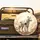Majestic White Tiger Golden Ornate Celestial Clouds - Wildlife Lover Gift Spare Tire Cover - 2