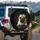 Fawn Pug Dog with Expressive Eyes Peeking Over Dark Surface - Dog Lover Gift for Pug Owners Spare Tire Cover - 3