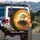 Majestic Bald Eagle Golden Shimmering Energy Horizon - Wildlife Lover Home Decor Gift Spare Tire Cover - 3