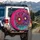 Magenta Purple Yellow Floral Leaves - Home Decor Gift for Flower Lovers Spare Tire Cover - 3