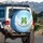Big-Eyed Green Frog Cloud Sky Stars - Nature Lover Home Decor Gift Spare Tire Cover - 3