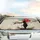 Samurai Warrior Katana Rising Sun Cherry Blossom - Japanese Art Lover Gift Car Sunshade - 5