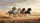Powerful Wild Horses Galloping Desert - Wildlife Lover Gift Car Sunshade - 7