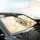Majestic White Lion Golden Dust Celestial Light Wildlife Lover Gift Car Sunshade - 6