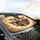 Natural Fur Fluffy Chihuahuas Smiling Dogs - Pet Owner Auto Decor Gift Car Sunshade - 6