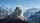 Majestic White Lion Snowy Mountain Peaks - Outdoor Adventure Gift for Wildlife Lovers Car Sunshade - 7