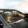 Adventurous Raccoons Red Panda Forest Road - Adventure Lover Gift Car Sunshade - 6