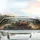 Adventurous Raccoons Red Panda Forest Road - Adventure Lover Gift Car Sunshade - 5