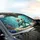 Baby Sea Turtle Red Crab Fish Sunlit Underwater Sea Grass Coral - Ocean Lover Gift Car Sunshade - 6