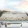 Flowing Field Of Blush Rose Lavender Wildflowers - Home Decor Gift Car Sunshade - 5