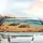 Sea Turtles Seashells Starfish Ocean Beach Tropical Decor Gift Car Sunshade - 5