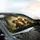 Dapper Cats Driving Forest Adventure Travel Essentials Cat Lover Gift Car Sunshade - 6