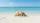 Seashell Starfish Sand Beach Tropical Ocean Waves - Coastal Home Decor Gift Car Sunshade - 7