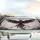 Majestic Black Mythical Bird Broad Wings Crimson Scarlet Aura - Bird Lover Gift Car Sunshade - 5