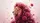 Majestic Lion Head Crimson Pink Floral - Home Decor Gift for Animal Lover Car Sunshade - 7