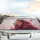 Majestic Lion Head Crimson Pink Floral - Home Decor Gift for Animal Lover Car Sunshade - 5