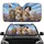 Expressive Cats Monarch Butterfly Lavender Wildflowers - Cat Lover Gift Car Sunshade - 1