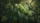 Verdant Monstera Deliciosa Leaves Tropical Foliage - Home Decor Gift for Plant Lovers Car Sunshade - 7