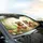 Fluffy Squirrels Fly Agaric Mushrooms Fern Butterflies Forest - Wildlife Lover Gift Car Sunshade - 6