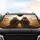 Hippos African Savanna Road Trip - Wildlife Enthusiast Gift Car Sunshade - 4