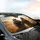 Hippos African Savanna Road Trip - Wildlife Enthusiast Gift Car Sunshade - 6