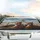 Red Foxes Driving Headphones Desert Highway - Open Road Adventure Gift Car Sunshade - 5